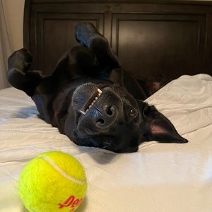 Meet your Posher, Megan